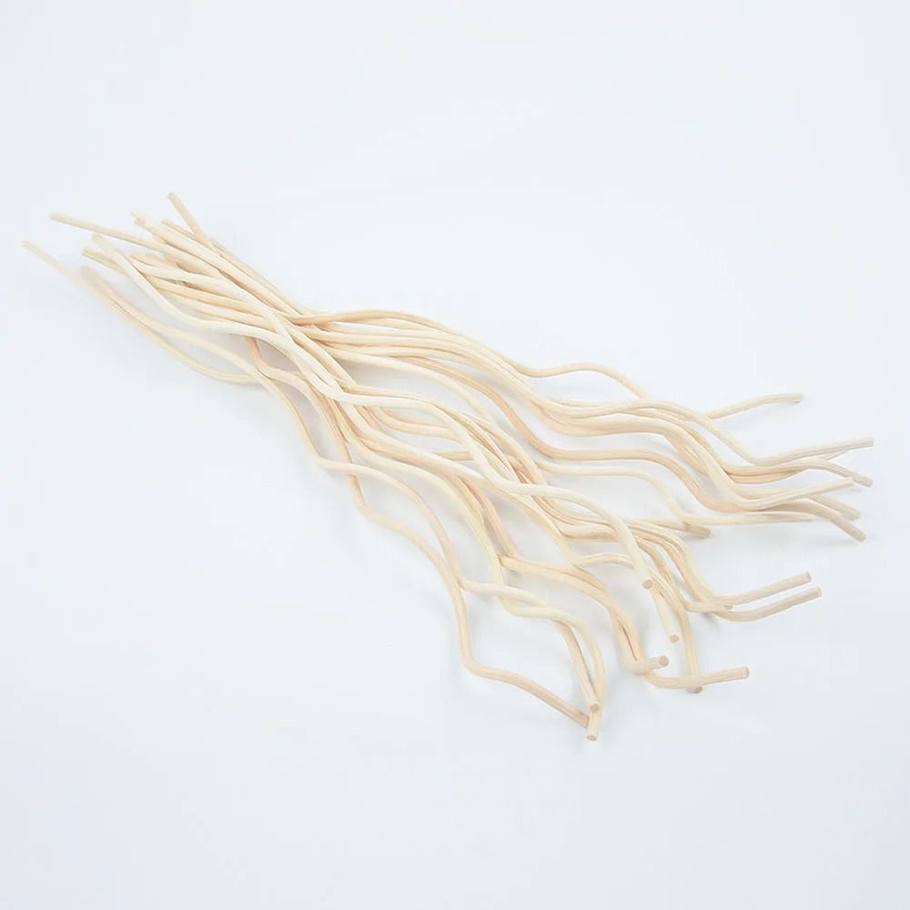 20 buah stik Diffuser panjang  - Home Fragrance Reed Diffuser Refill ulasan dan harga