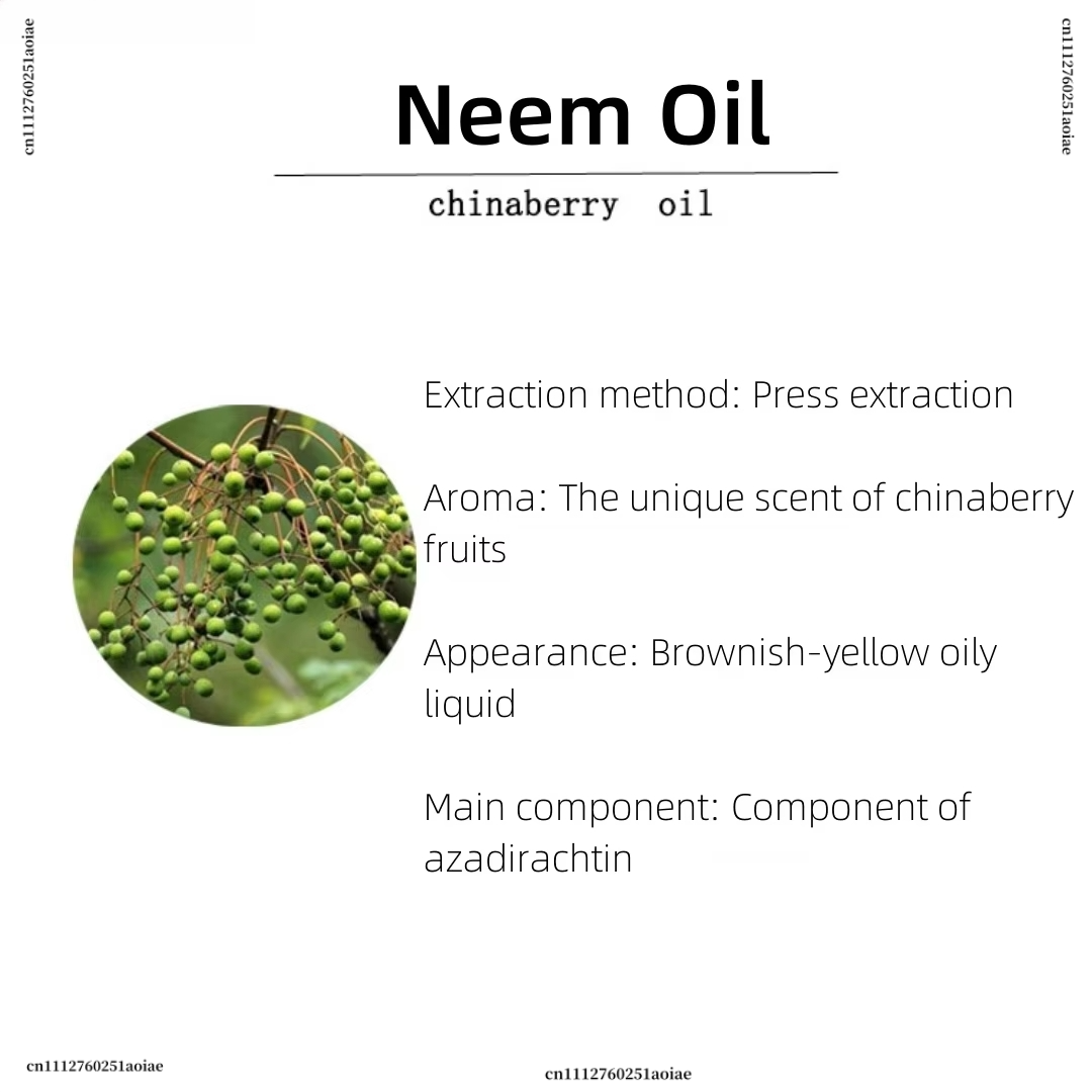 Minyak Neem Organik - Minyak A - Home Fragrance Incense ulasan dan harga