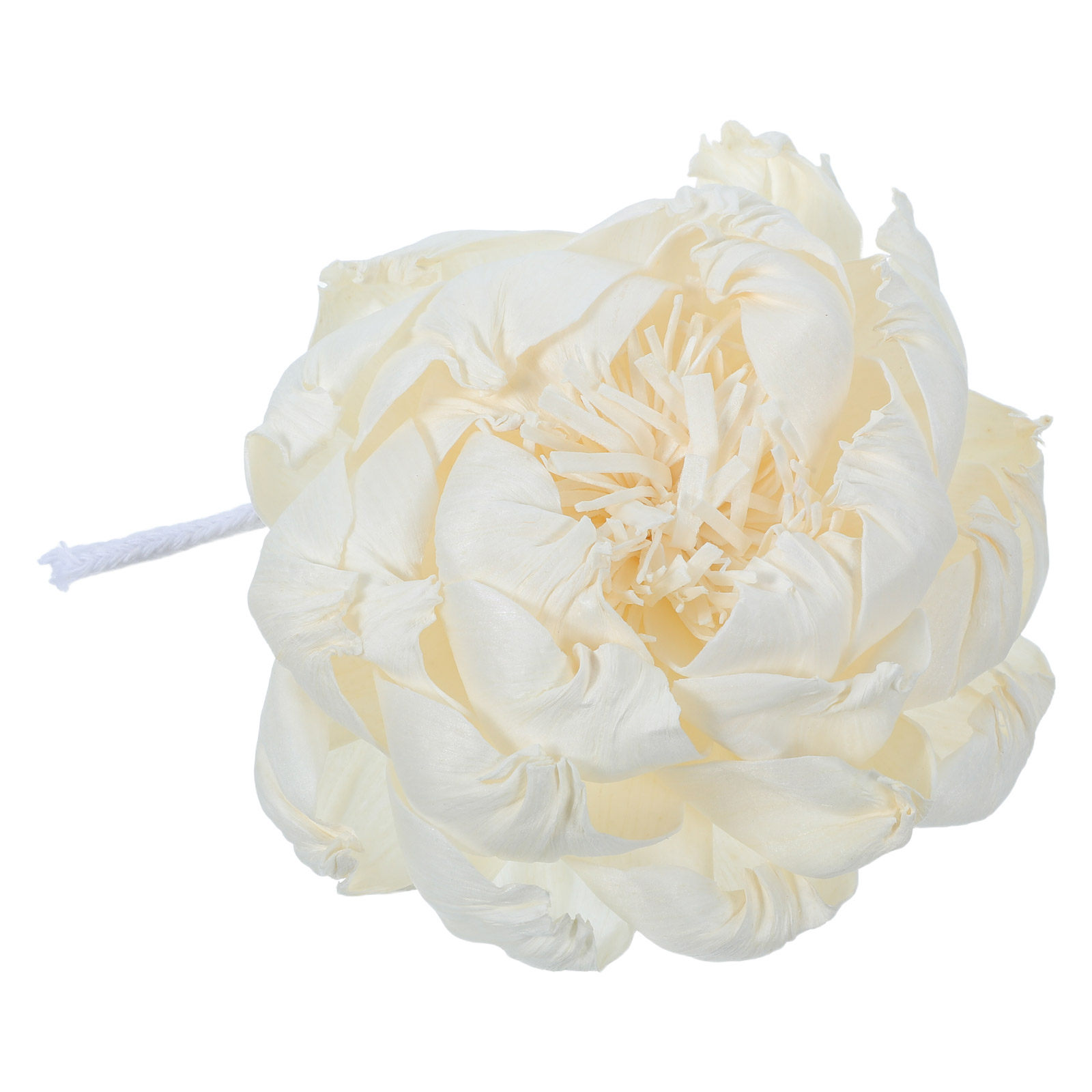 Diffuser Aroma Bunga Peony 12C - Fragrance In Home ulasan dan harga