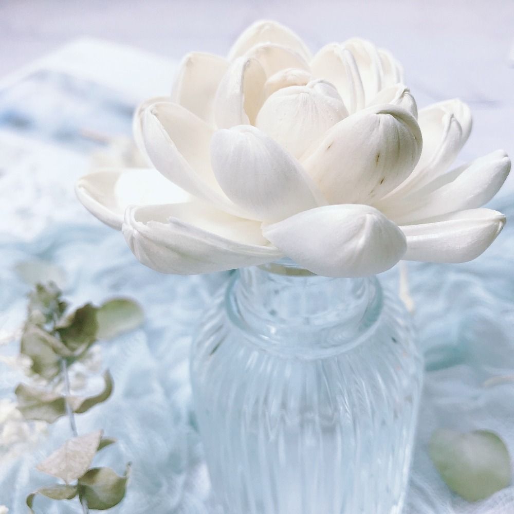 Bunga Aromaterapi untuk Rumah, - Home Fragrance Incense ulasan dan harga